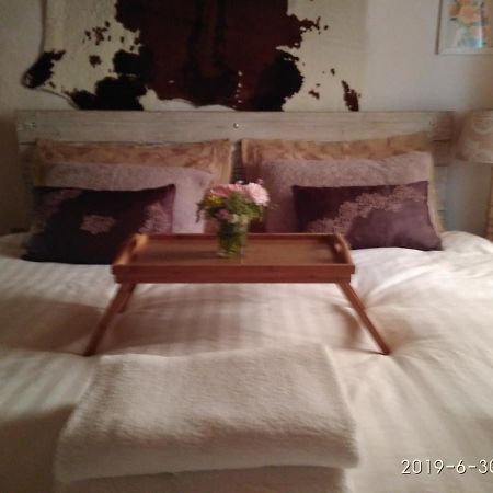 Molini .Laghi Villa Malga Campiluzzi Inferiore Ngoại thất bức ảnh
