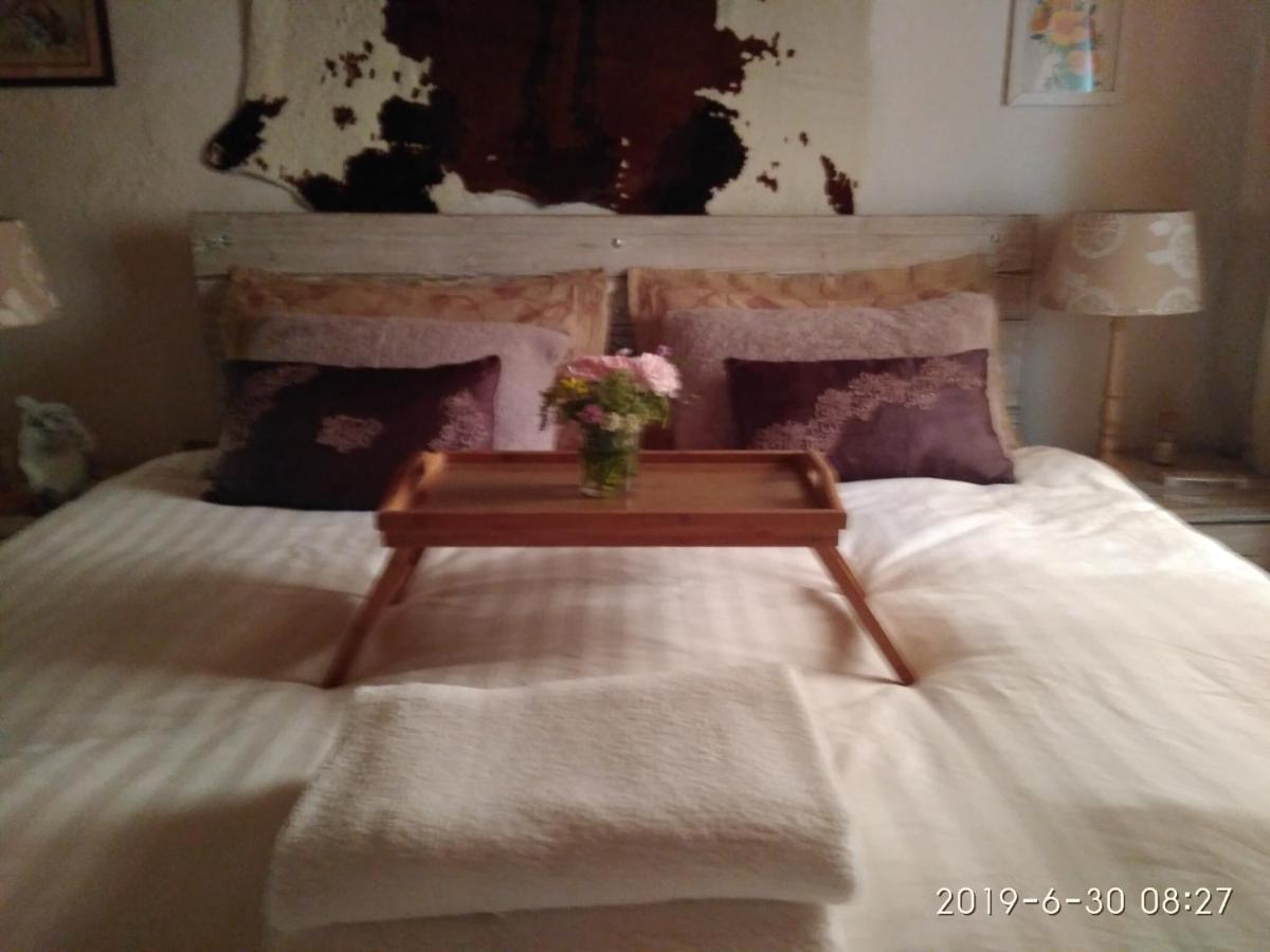 Molini .Laghi Villa Malga Campiluzzi Inferiore Ngoại thất bức ảnh